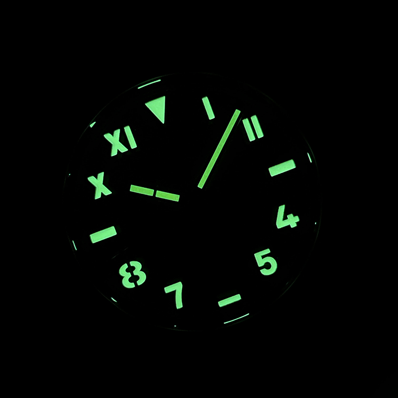 STEELDIVE 남성용 자동 시계 42MM 기계식 손 - Seiko Watch Prospex 리뷰 및 가격
